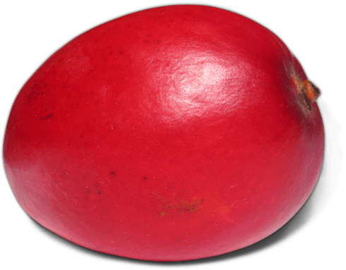 Red mango